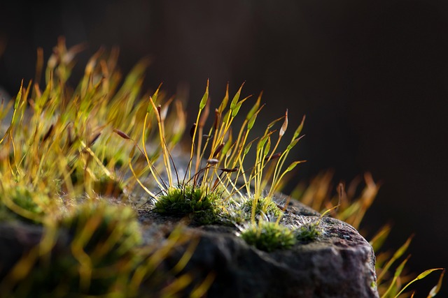 Recherche et Innovation